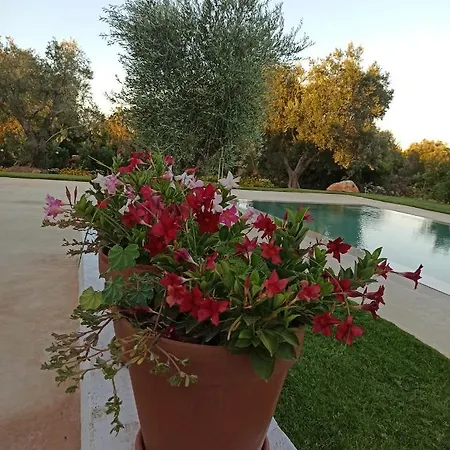 Villa Lamia Fiscaluri *